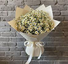 Букет цветов из:  Ромашки в Григорополисской