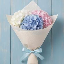 Букет цветов из:  Гортензия в Григорополисской