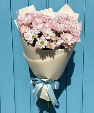 Букет цветов из:  Хризантемы в Григорополисской