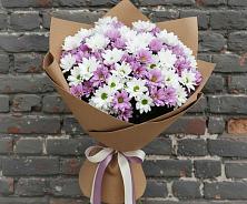 Букет цветов из:  Хризантемы в Григорополисской