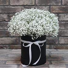 Цветочная композиция из Гипсофила в шляпной коробке в Григорополисской