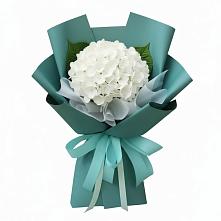 Букет цветов из:  Гортензия в Григорополисской